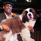 Image for article titled These Bass Players Look Like They're Petting Dogs, And It's Amazing
